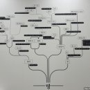 노래하는 땅 이미지