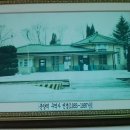 춘양역 Daum카페