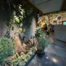 용인나무이야기 이미지