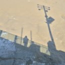 이영춘 | 군산가볼만한곳- 근대역사박물관, 한국의 슈바이처 이영춘 박사 가옥