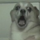 연세와병원 | 아이 팔 골절로 방문한 강동연세병원 후기