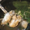 223더 4893 이미지