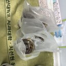 연지웰치과의원 네이버블로그