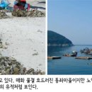 매화꽃민박 이미지