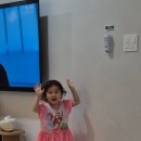 강릉멍릉도원애견펜션 이미지