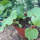 반송 경로당 이미지