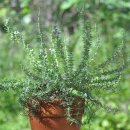 창평농장 이미지