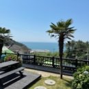 여울애견 이미지