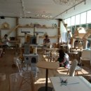 달고양이 이미지