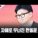 [고성국 칼럼] 자해로 무너진 한동훈 고성국TV﻿ 이미지