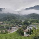 차시배지민박 이미지