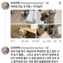 컴수리 Daum카페