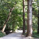 길손과 풀꽃 이미지