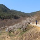 곡성-172 이미지