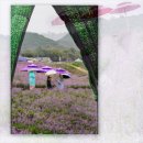 장성공원3 이미지