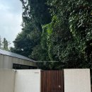 무라소원 | [제주 서귀포] 무라소원 : ROOM 소원 후기 / 제주 서귀포 남원 자쿠지 독채 숙소 감성 숙소