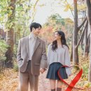 책사랑(책과비디오) 이미지