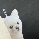 라인팩토리 | 라인팩토리 세상에 하나뿐인 티셔츠제작 커스텀티셔츠 착용 후기