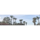 오월약국 이미지