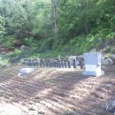 순동농장 이미지