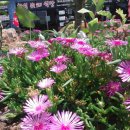 고스트타운 이미지