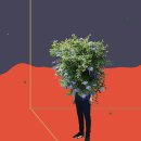 공간변형 이미지