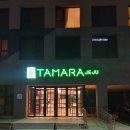 올레캠프알파캠프