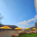 울루라떼 이미지