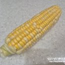 탑마트 | * 2026년 탑마트 초당옥수수 구입 후기 -