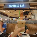 썬샤인브릿지 | [여행/호주] 호주여행 #8 케언즈에서 시드니로_지그재그 시드니 선셋&amp;야경 워킹투어 후기