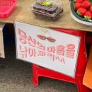 미요옹실 | 당신의 마음을 낚아 체리