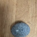 새몽