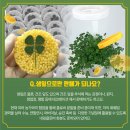 갑부푸드