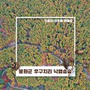 우구치리 낙엽송 숲 티스토리