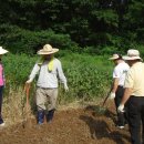 고천농장 이미지