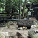 블루마운틴 | 호주 시드니 블루마운틴 투어! 내돈내산 후기 총정리