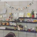 하이펫 애견샵 이미지