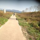 안성 월동천 이미지