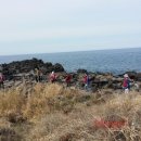 JIBS노동조합 이미지