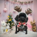 금동살롱 이미지