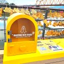 의령정비 | 의령 재물운 명당 솥바위 방문 후기+기념품,소원빌기