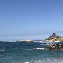 데굴데굴 이미지