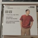 티(T) | 유니클로 크루넥T 레드 반팔티셔츠 사이즈 후기 추천