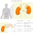 온기한의원 네이버블로그