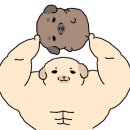 고양이화실