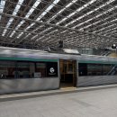 (주)칩스앤테크 | [호주 퍼스] 2026.01.25 쿼카보러 Rottnest island, 피쉬앤칩스 맛집 Cicerello's Fremantle 방문 후기