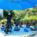 나래유치원 이미지