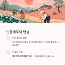 꽃민들레 | 민들레주, 뿌리 깊은 정신을 담은 강인한 전통주
