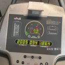 Hello Kitten 이미지