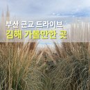 목련마을 경로식당 | 김해 가볼만한곳 BEST3 직접 다녀온 목련숲 강변장어타운 낙동강 산책로